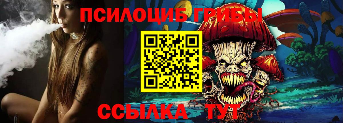 Галлюциногенные грибы MAGIC MUSHROOMS  Вход с VPN  Сорочинск 
